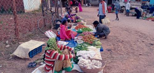 Mushroom Market